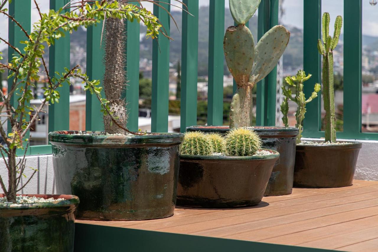 Holt - Villa Noria - La Casa Del Barro Verde Oaxaca Exteriér fotografie